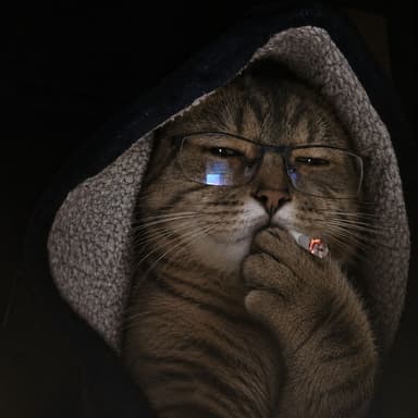 bqr FACEIT profile
