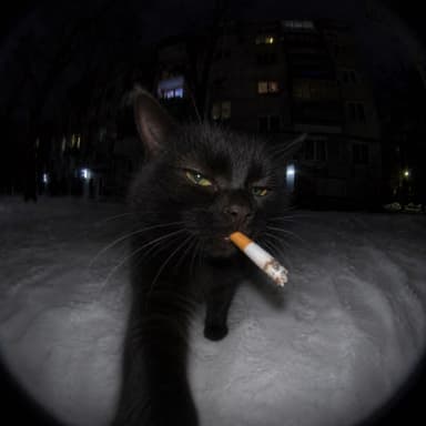 m3y FACEIT profile